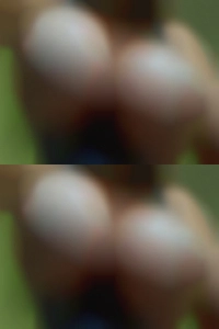 vevayMault, faces